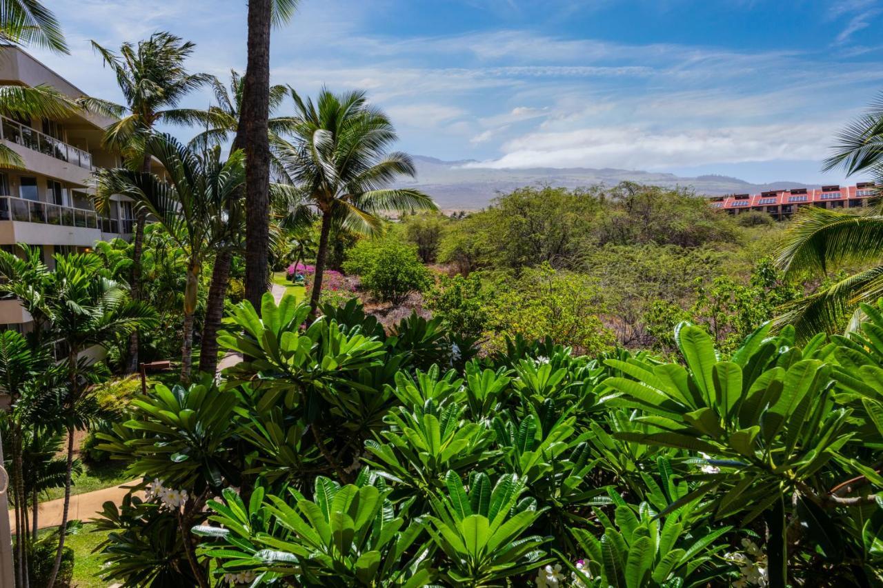 Maui Banyan H311 1Bd 2Ba 3 Min Walk To The Beach In The Heart Of South Kihei! Wailea  Exterior photo