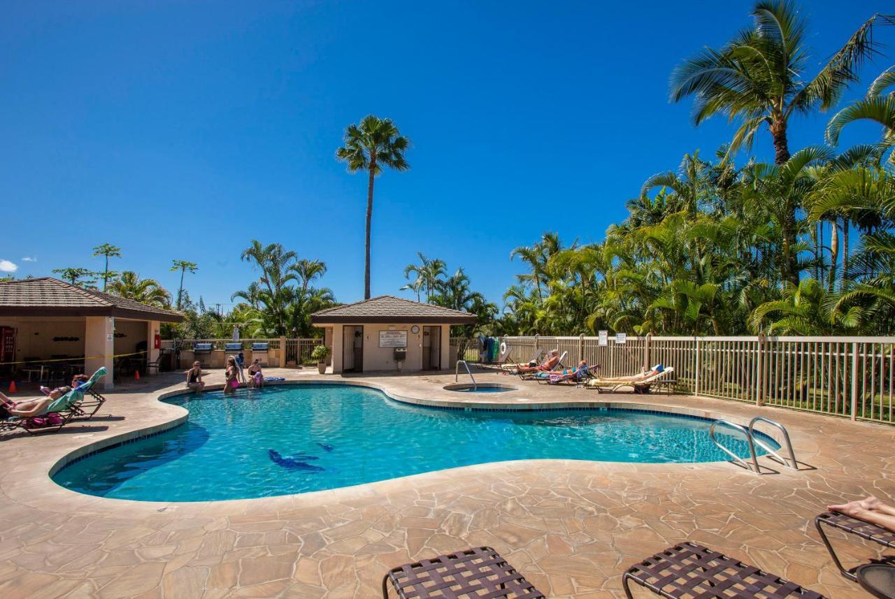 Maui Banyan H311 1Bd 2Ba 3 Min Walk To The Beach In The Heart Of South Kihei! Wailea  Exterior photo
