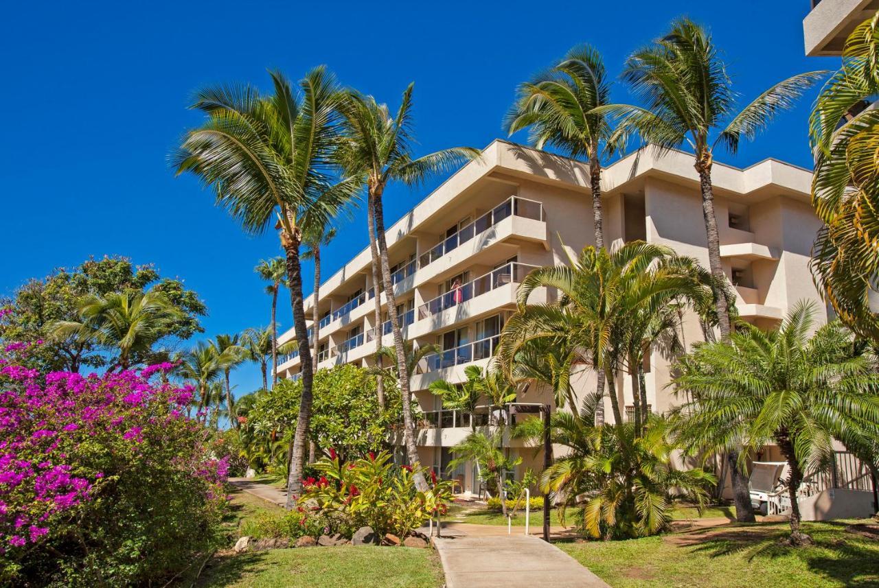 Maui Banyan H311 1Bd 2Ba 3 Min Walk To The Beach In The Heart Of South Kihei! Wailea  Exterior photo